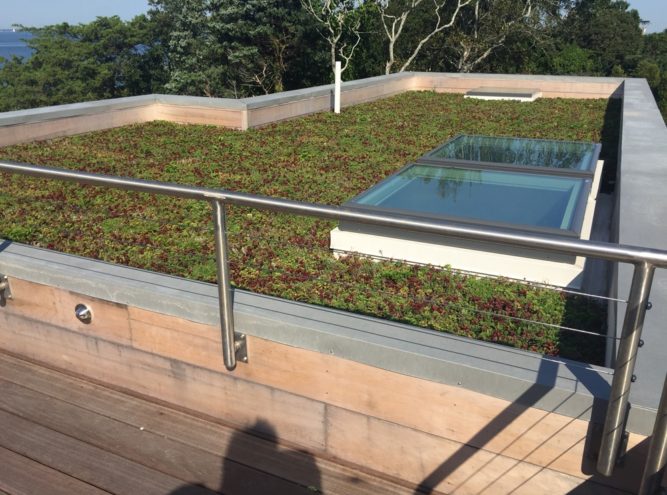 Live vegetative roof garden with skylight and railing